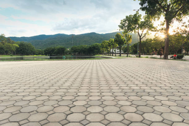 Best Driveway Pavers Near Me  in Lakeland, TN